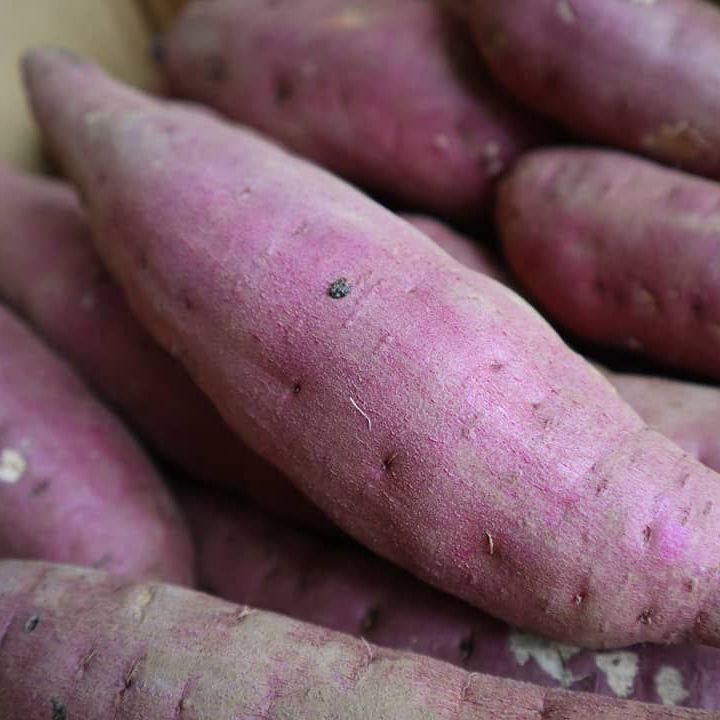 aoyagi_farm_post_2019_11_18_9_59_032179517404803345542