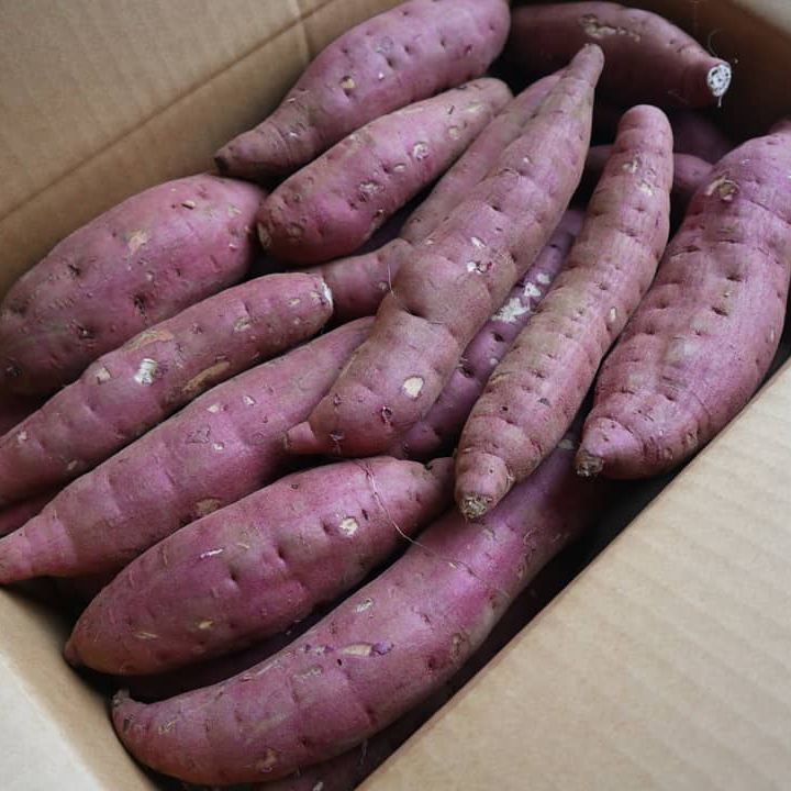 aoyagi_farm_post_2019_11_18_9_59_032179517404820059597